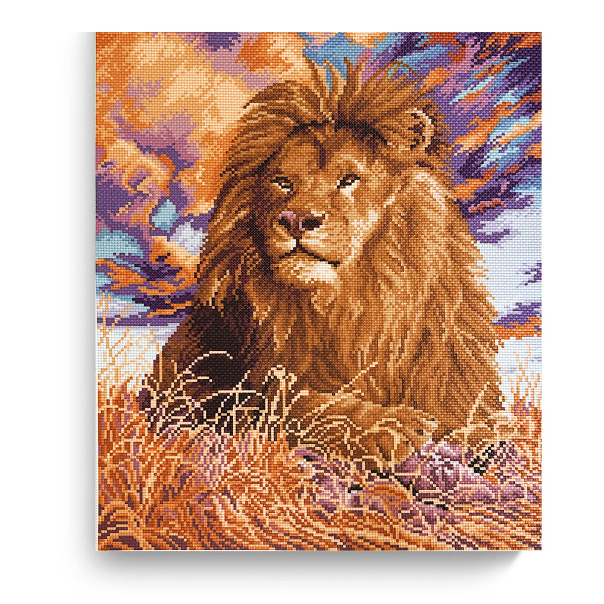 ערכת רקמה מודפסת על בד אידה 50X40 ס״מ Art.0378