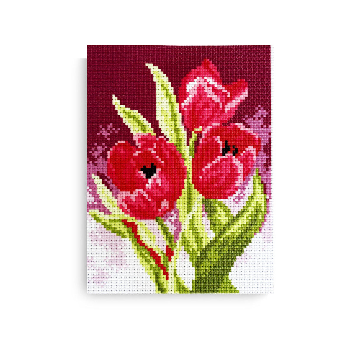 ערכת רקמה מודפסת על בד אידה 20X28 ס״מ Art.LG081