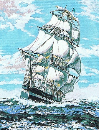 גובלן לרקמה עם ציור מודפס 133.3125