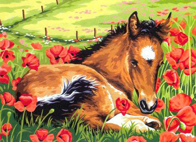 גובלן לרקמה עם ציור מודפס 153.1361