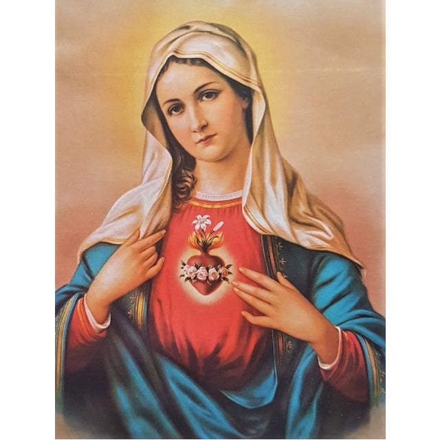 ערכת רקמה בד גבינה מודפס עם חוטים 294