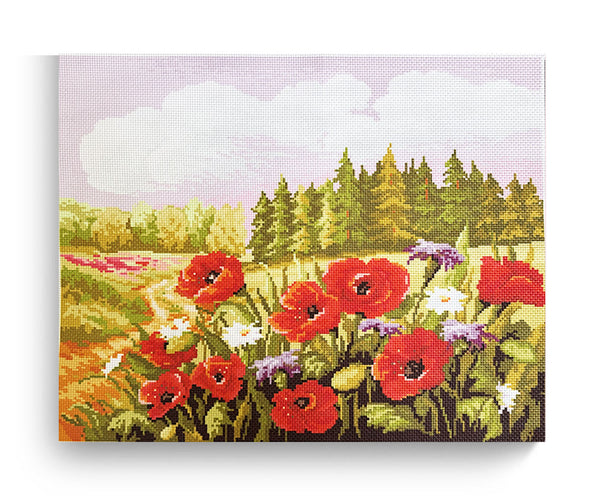 ערכת רקמה מודפסת על בד אידה 50X40 ס״מ Art.0234