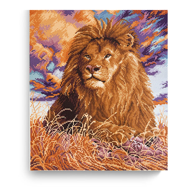 ערכת רקמה מודפסת על בד אידה 50X40 ס״מ Art.0378
