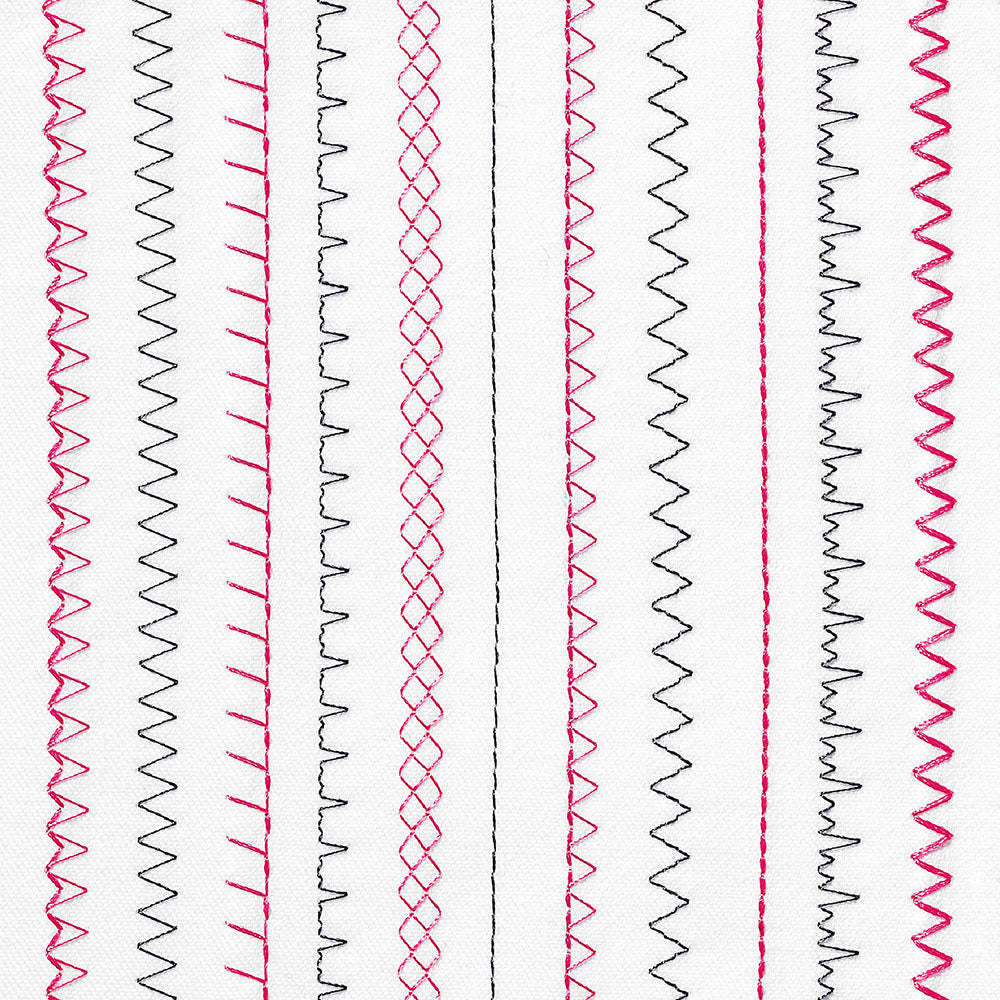 אלנה מכונת תפירה למתחילים ELNA SEW ZEBRA