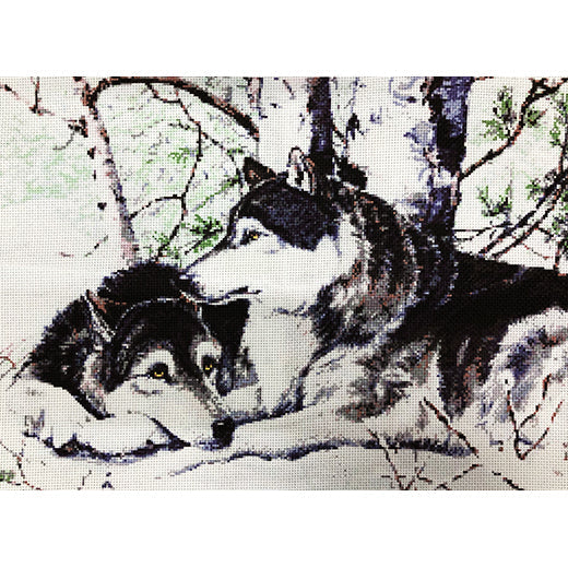 ערכת רקמה בד גבינה מודפס עם חוטים 061