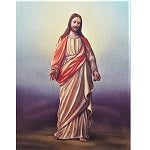 ערכת רקמה בד גבינה מודפס עם חוטים 286