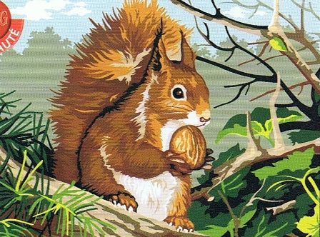 גובלן לרקמה עם ציור מודפס 926.241