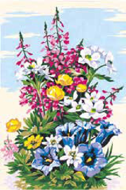 גובלן לרקמה עם ציור מודפס 928.223