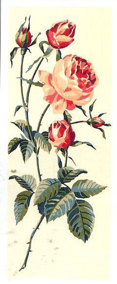 גובלן לרקמה עם ציור מודפס 950.25